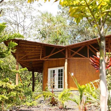 Kalani Oceanside Retreat Villa Pahoa ภายนอก รูปภาพ