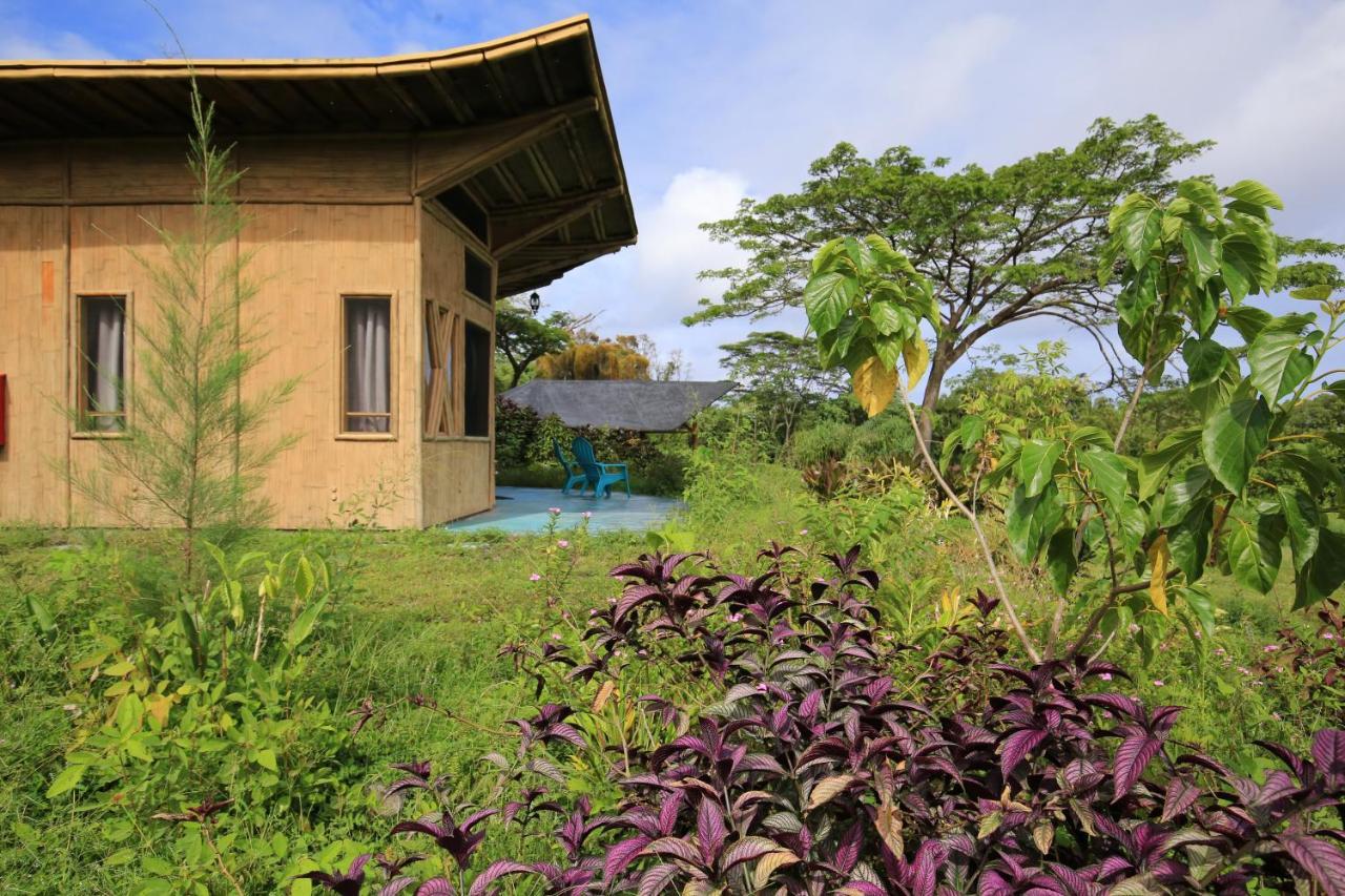 Kalani Oceanside Retreat Villa Pahoa ภายนอก รูปภาพ