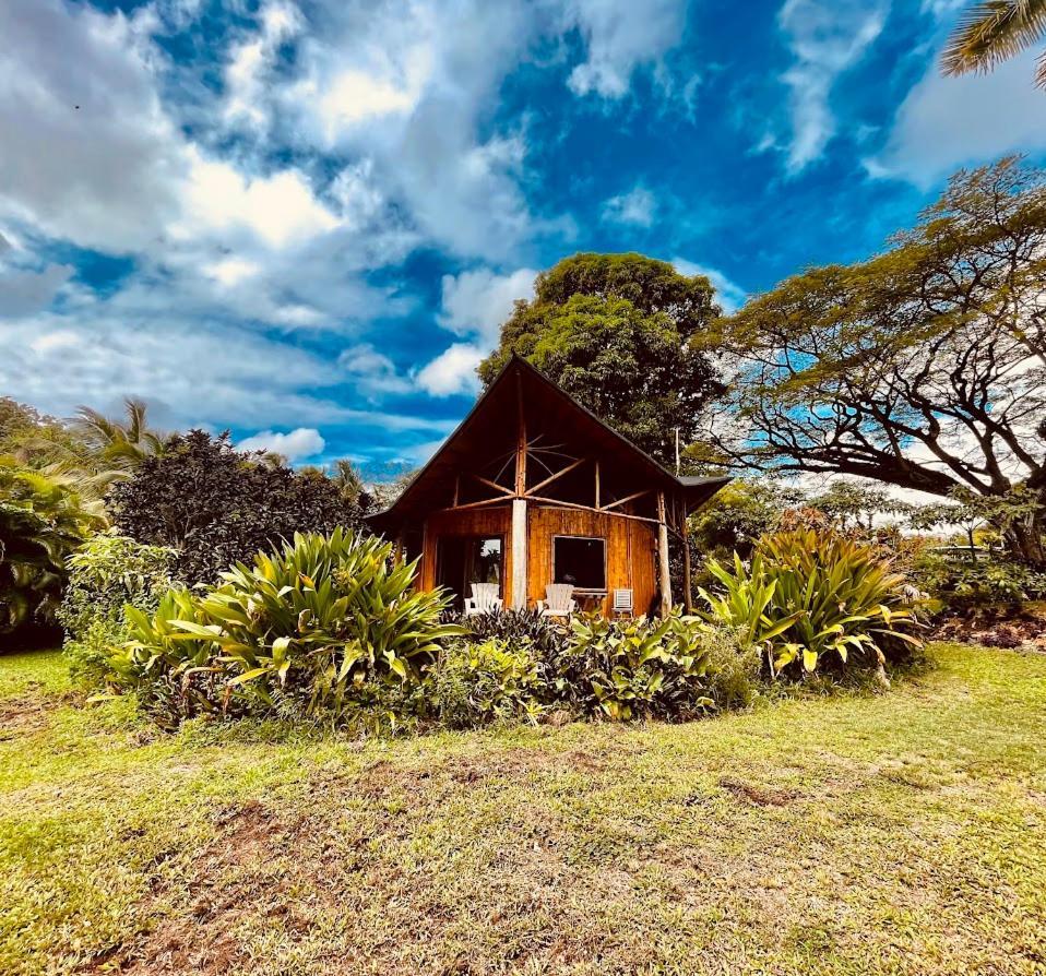 Kalani Oceanside Retreat Villa Pahoa ภายนอก รูปภาพ